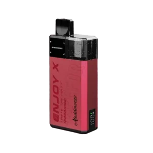 Enjoy X 10000 Puff by Aladdin Pro Disposable Vape