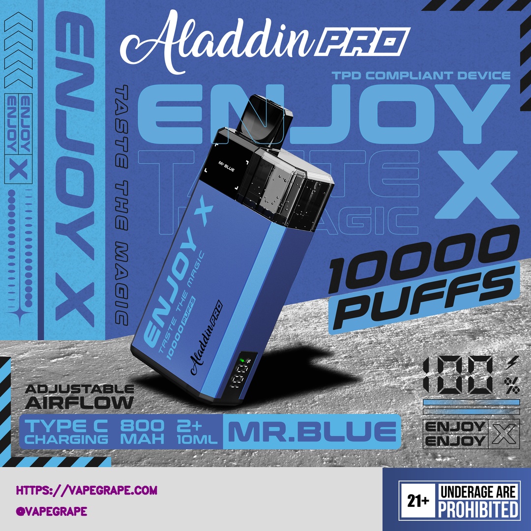 Enjoy X 10000 Puff by Aladdin Pro Disposable Vape - Image 13